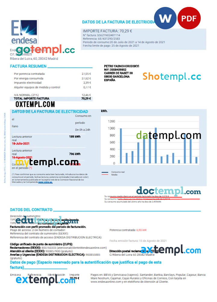 SPAIN ENDESA utility bill Word and PDF template
